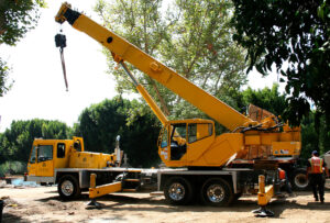 Senna Tree Crane Rental - 45 ton crane